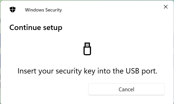 Windows dialog: Insert security key